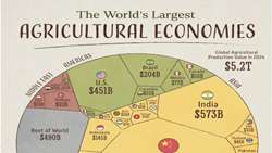 Ranked: World’s largest agricultural economies